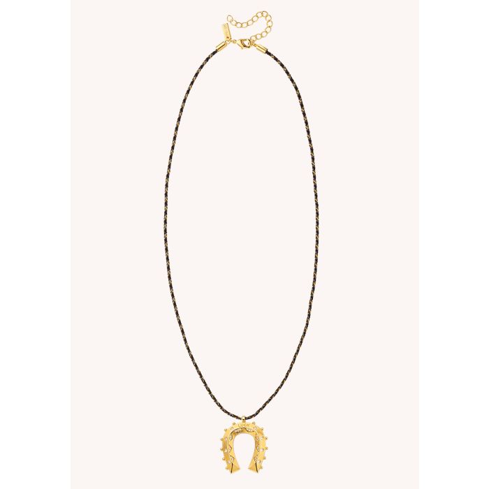 Gold Horseshoe