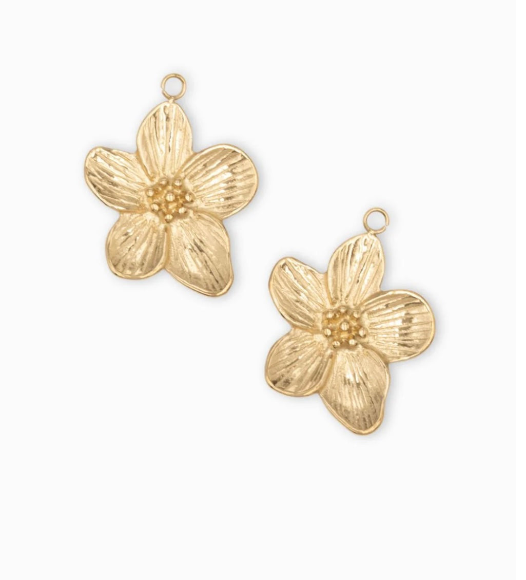 CHARMS