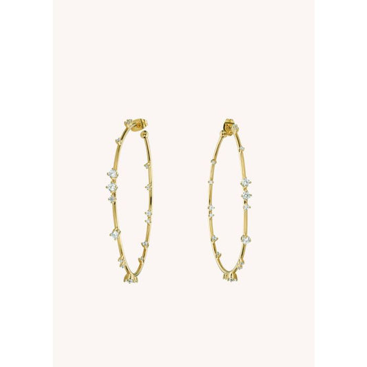 EARRINGS - HOOPS